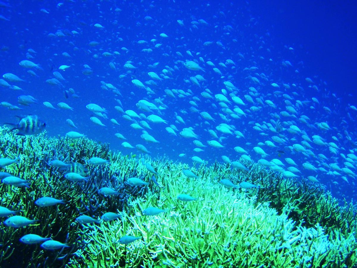 Отель Seven Colors Ishigakijima Ishigaki  Экстерьер фото